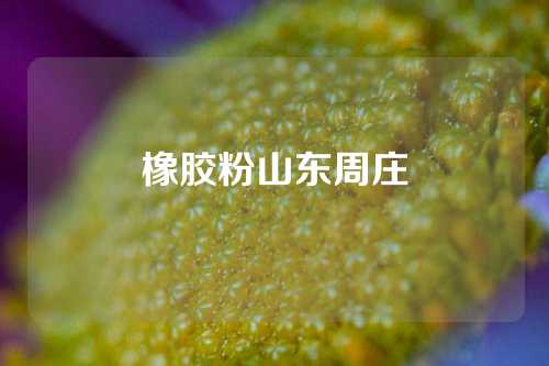 橡胶粉山东周庄