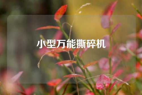 小型万能撕碎机