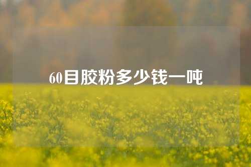60目胶粉多少钱一吨