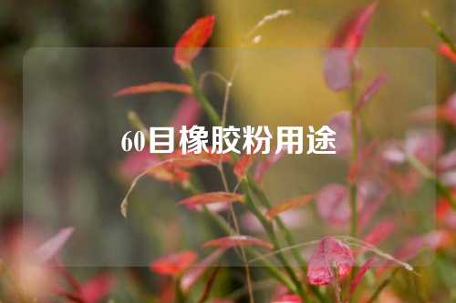 60目橡胶粉用途