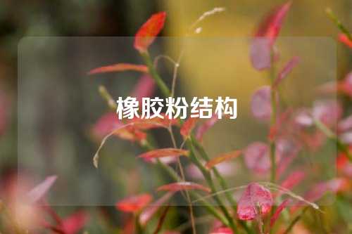 橡胶粉结构