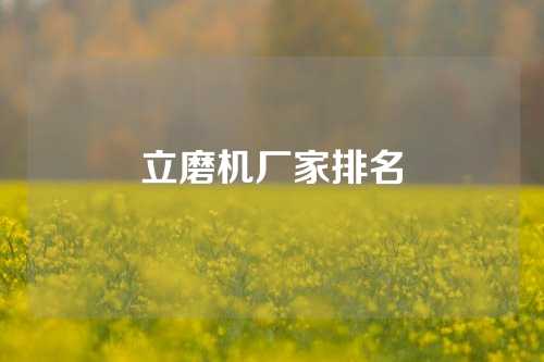 立磨机厂家排名