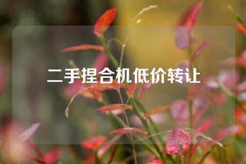 二手捏合机低价转让