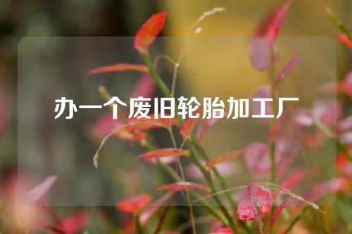 办一个废旧轮胎加工厂