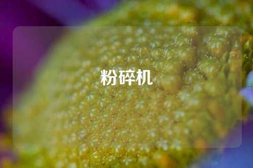 粉碎机