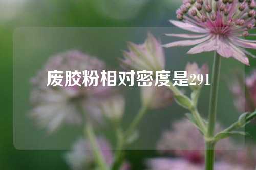 废胶粉相对密度是291