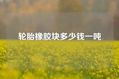 轮胎橡胶块多少钱一吨
