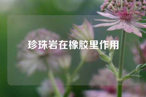 珍珠岩在橡胶里作用