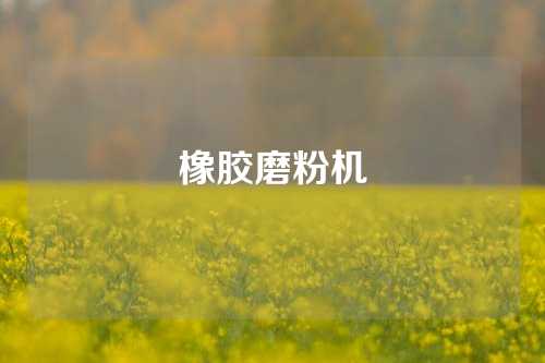 橡胶磨粉机