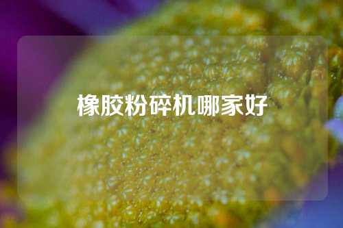 橡胶粉碎机哪家好