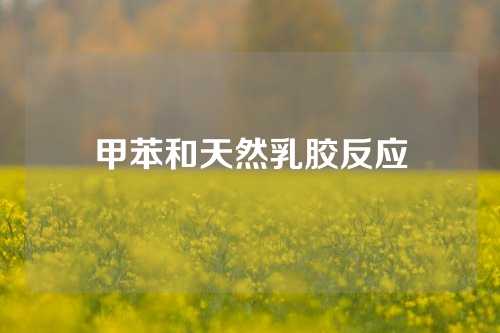 甲苯和天然乳胶反应