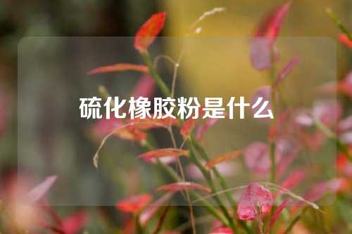 硫化橡胶粉是什么