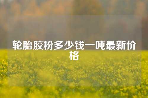 轮胎胶粉多少钱一吨最新价格