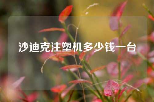 沙迪克注塑机多少钱一台