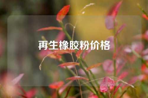再生橡胶粉价格