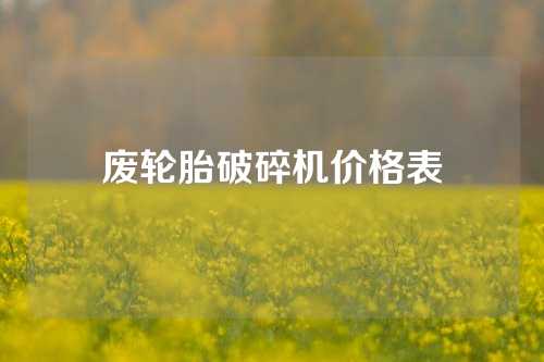 废轮胎破碎机价格表