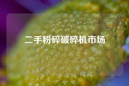 二手粉碎破碎机市场
