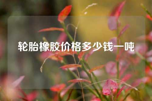轮胎橡胶价格多少钱一吨