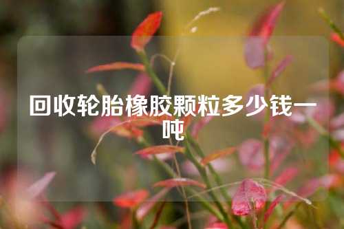 回收轮胎橡胶颗粒多少钱一吨