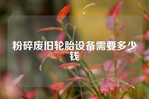 粉碎废旧轮胎设备需要多少钱