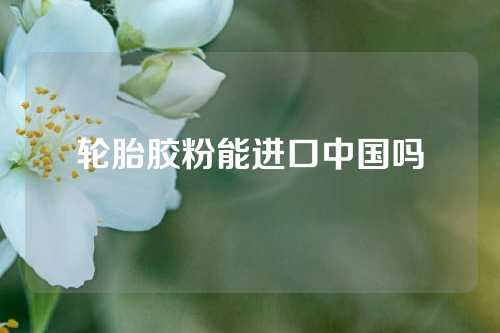 轮胎胶粉能进口中国吗