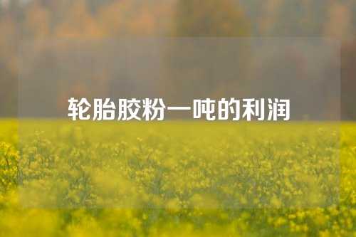 轮胎胶粉一吨的利润