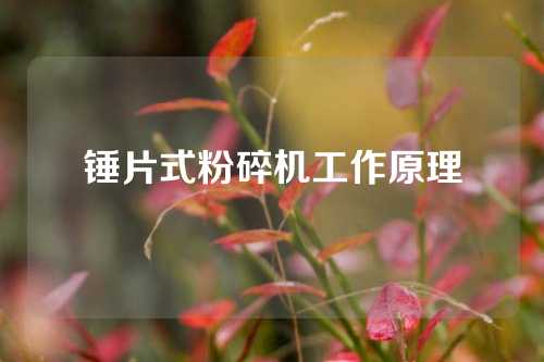 锤片式粉碎机工作原理