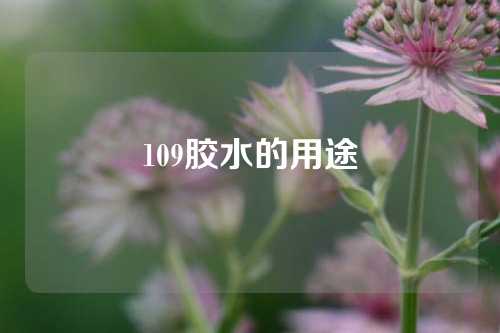 109胶水的用途
