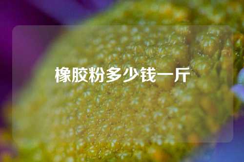 橡胶粉多少钱一斤