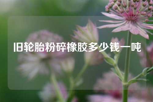 旧轮胎粉碎橡胶多少钱一吨