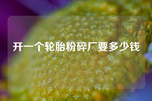 开一个轮胎粉碎厂要多少钱