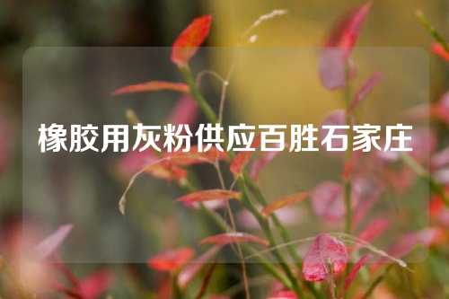 橡胶用灰粉供应百胜石家庄