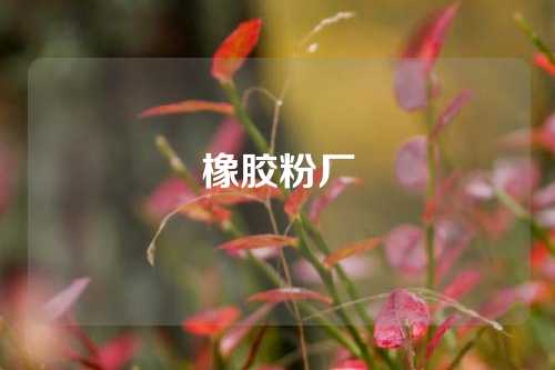 橡胶粉厂