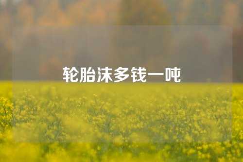 轮胎沫多钱一吨