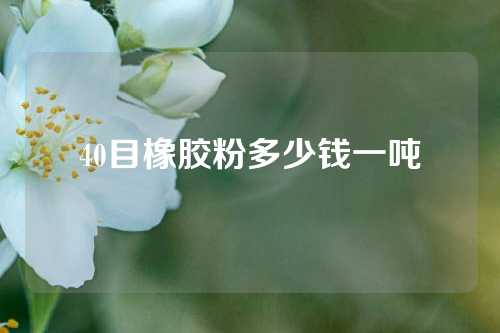 40目橡胶粉多少钱一吨