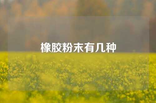 橡胶粉末有几种