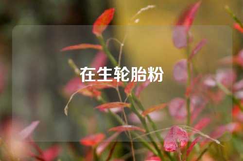 在生轮胎粉