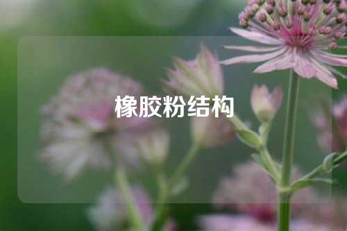 橡胶粉结构
