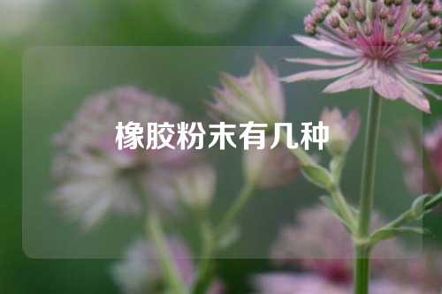 橡胶粉末有几种