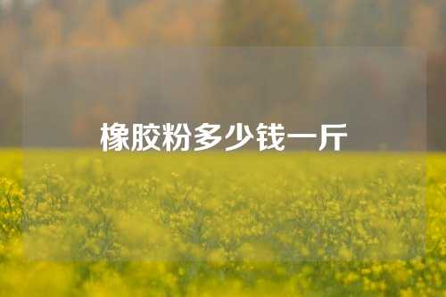 橡胶粉多少钱一斤