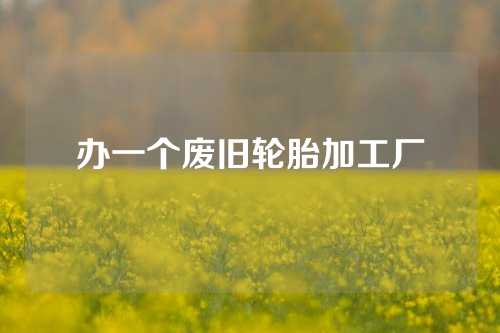 办一个废旧轮胎加工厂