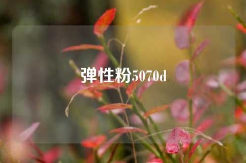 弹性粉5070d