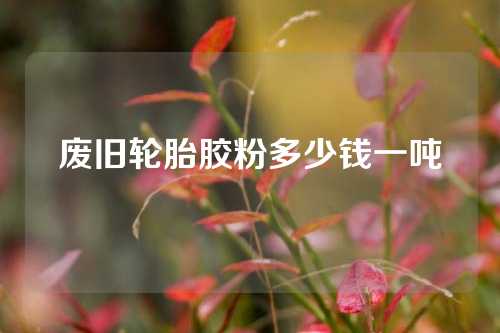 废旧轮胎胶粉多少钱一吨