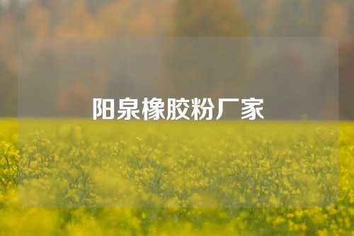 阳泉橡胶粉厂家