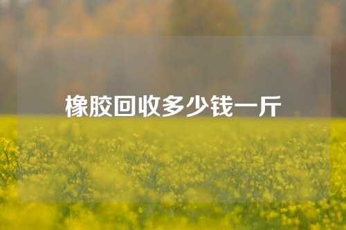 橡胶回收多少钱一斤