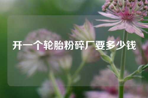 开一个轮胎粉碎厂要多少钱
