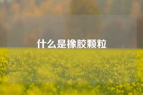 什么是橡胶颗粒