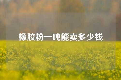 橡胶粉一吨能卖多少钱