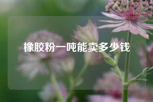 橡胶粉一吨能卖多少钱