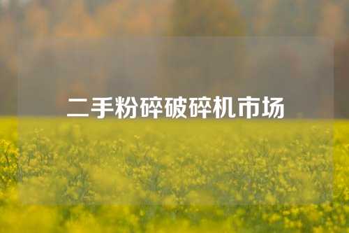 二手粉碎破碎机市场